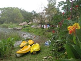 Kayaks en renta